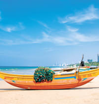סרי לנקה / צילום: Shutterstock