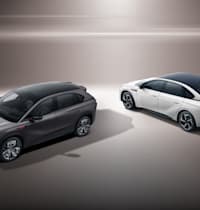 צילום: הונצ'י