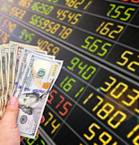 לגדר או להיות חשוף למט''ח? / צילום: Shutterstock