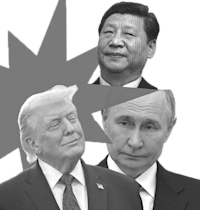 צילומים: Shutterstock