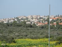 זכרון יעקב / צילום: איל יצהר