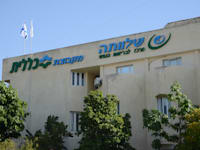 בית חולים לחולי נפש שלוותה / צילום: איל יצהר