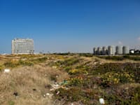 מחירי הקרקעות נפלו ב-2023 אך עלו שוב במהלך המלחמה / צילום: שלומי יוסף