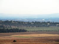 עמק יזרעאל: למרות התנגדות ראשי הרשויות, הממשלה החליטה להקים שם שדה תעופה / צילום: איל יצהר