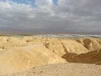 הערבה / צילום: יח''צ