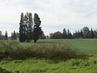 במהלך הזמן שחל מביצוע העסקה לביצוע השומה מחירי הקרקעות עלו / צילום: איל יצהר