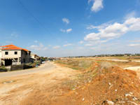 תל מונד. בלי בניינים שיפריעו לתמהיל / צילום: אלון רון