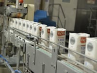 מפעל סוגת - סוכר -  קרית גת / צילום: תמר מצפי