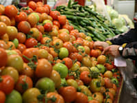 עגבניות / צילום: עינת לברון