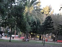 גן מאיר בת''א / צילום: תמר מצפי
