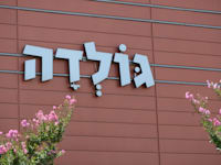 גלידה גולדה / צילום: איל יצהר