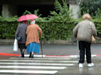 רוב הקשישים מוותרים על ההטבות המוגדרות בחוק / צילום: תמר מצפי