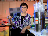 שולמית מיכאלי גולדברג פרופ' מדענית מיקרובילוגיה / צילום: איל יצהר