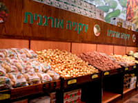 מזון אורגני / צילום: תמר מצפי