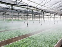 מערכות השקיה / צילום: יח''צ