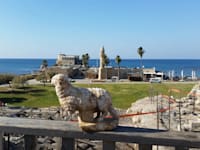קיסריה / צילום: ורד שריג