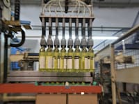 ייצור יין ישראלי / צילום: תמר מצפי