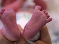 תינוק בבית חולים / צילום: עינת לברון