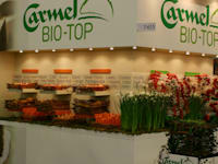 ירקות אורגניים של חברת אגרסקו / צילום: יח''צ