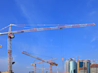 עגורן / צילום: Shutterstock, Protasov AN