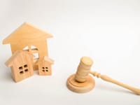 בית המשפט ניסה להגיע לאיזון / צילום: Shutterstock, Andrii Yalanskyi