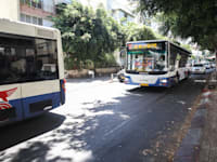 אוטובוסים של חברת דן / צילום: כדיה לוי