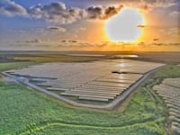 פרויקט זרחיה של חברת סולגרין / צילום: בילקטריק