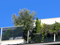 מרפסת / צילום: Shutterstock