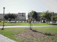 רחוב התחייה, תל אביב / צילום: כדיה לוי
