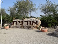 אורנית. יישוב באשכול 8 שזוכה למענקי איזון מהמדינה / צילום: בר - אל