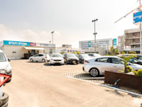 מגרשי מכירת רכבים / צילום: יוסי כהן