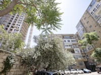 איזה ראש עיר נדרש להתפטר לאחר שנצפה אוכל במסעדה בט' באב? / צילום: יוסי זמיר