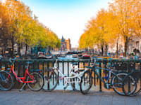 הולנד / צילום: Shutterstock