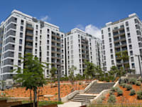 פרויקט של דירה להשכיר בתל כביר, תל אביב / צילום: שלומי יוסף