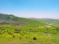 רמת הגולן / צילום: Shutterstock, hermitis