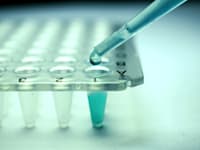 מעבדה של ביוליין / צילום: Shutterstock