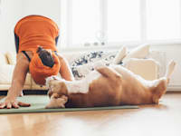 איך פעילות גופנית משפיעה על הביצועים, ולמה היא לא מומלצת בזמן העבודה / צילום: Shutterstock, Soloviova Liudmyla