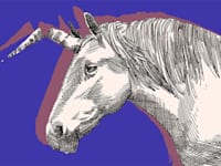 סטארט־אפים שגייסו באופוריה של תחילת העשור, שילמו את המחיר ב־2025 / איור: גיל ג'יבלי