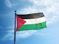 דגל פלסטין / צילום: Shutterstock