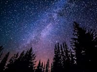 הרווארד בגלובס. הזדמנויות כלכליות מעבר לכוכב הלכת שלנו / צילום: Unsplash, Ryan Hutton