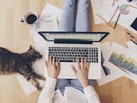 עבודה מהבית / צילום: Shutterstock, Creative Lab