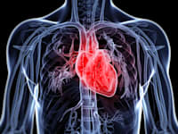 אילוסטרציה: shutterstock