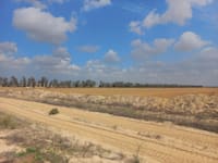 עוטף עזה / צילום: אלון פרל