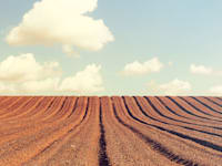 חוק מס רכוש המחודש / צילום: Shutterstock