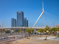 פתח תקווה / צילום: Shutterstock