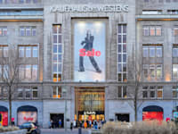 הכלבו הגרמני ''קה־דה־ווה'' / צילום: Reuters, Marc Vorwerk