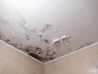 הרטיבות פגעה באיכות החיים של התובעים (אילוסטרציה) / צילום: Shutterstock