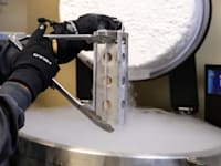 עוברים מוקפאים במעבדה / צילום: ap, Lynne Sladky