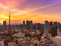 אבודים בטוקיו / צילום: Shutterstock