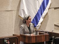 ח''כ לימור סון הר-מלך / צילום: דני שם טוב, דוברות הכנסת